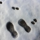 광역코스 이미지