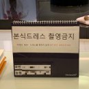 [마리레나 바이 블랑] 웨딩촬영 드레스 가봉 피팅 셀렉 후기