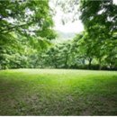 대공원광장대로 이미지