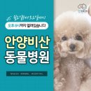 안양비산동물병원 이미지
