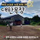 상진 목장 | [서귀포 가볼 만한 곳] 70년 만에 개방된 자연 그대로, 대한목장 홀리랜드