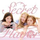 현 시점 시크릿 떡상방안