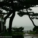 구봉도입구 이미지