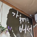 보은 속리산 석정식당 블루리본 산채더덕정식 방문후기