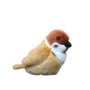 보송보송 이미지