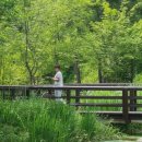 강원도자연환경연구공원 이미지