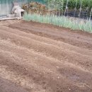 갑천농장 이미지