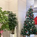 동아목욕탕 | 부평 찜질방] 부평 찜질방 사우나 “스파렉스 부평“ 방문후기🤍_대형 찜질방, 인생네컷, 키즈카페 완비