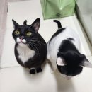 영등포역지하도상가 | 대전 / 성심당 대전역점 - DCC점 - 케익부띠끄 - 우동야 / 당일치기 빵 공략 기록