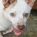 용원해수탕 이미지