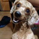 내아들농장 이미지