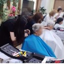 헤어펠리스 이미지