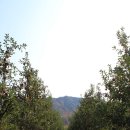 정일품농장 이미지