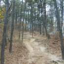 칠보산숲길 이미지