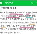 인셀덤 솔 - 부천시 원미구 | 인셀덤 솔