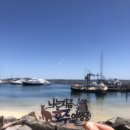 시니 케어 이미지