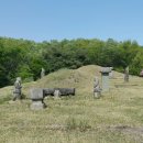 죽산박씨 문헌공파 묘역(박원형, 박안성, 박지영 묘) | ◎ 영중추부사(領中樞府事) 박안성(朴安性)