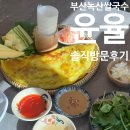부산, 녹산 | 베트남 현지의 맛이 느껴지는 쌀국수 맛집 ‘윤율’ 후기
