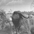 흔적으로의 여행 이미지