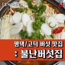 불난버섯집 이미지