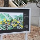 구례공설운동장운동장 더 한국타임즈