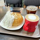 할리스커피테크노마트점 | 할리스커피 메뉴 허니바게트볼 후기