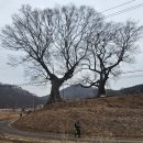 경기둘레길 김포3코스 이미지