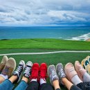 포항회타운 이미지