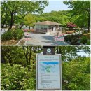 대창천 | 경산 유채꽃 명소 대구대학교 경산캠퍼스 늘푸른테마공원 &amp; 캠퍼스 내 겹벚꽃 명소와 경산구연정(慶山...