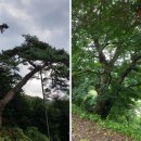 순흥향교 이미지