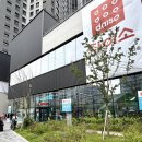 [파주 운정] 스타필드빌리지 운정점 다이소 오픈 매장 방문 후기 (매장위치)