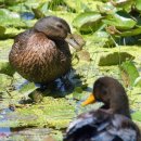 장전천3 이미지