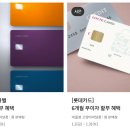 네파키즈롯데고양