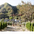 (2025.11.01) 소백산자락길 5자락 이미지