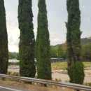 전형팔농장 이미지