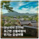 서천 판교 구 동일주조장 | 충남에서 충전해! 포근한 산들바람이 반기는 감성여행