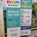 헬로우쥬 카페 이미지
