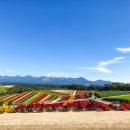 호수농장2 이미지