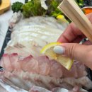 오리엔속초호텔 | 속초금호동횟집 [속초바다횟집] 자연산회전문점