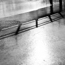 호수의오후 이미지