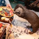 롯데월드아쿠아리움 이미지