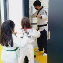 국가대표태인태권도장 이미지