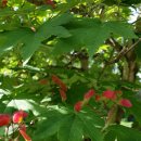 수락폭포 펜션 이미지