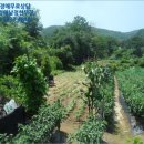 백운면 2200 이미지