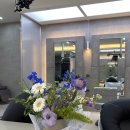 마이미플레르 이미지