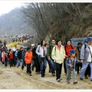 산속에아침 이미지