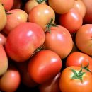 토마토 - 의정부시 태평로73번길 20 | 토마토