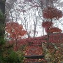 방동가든 이미지