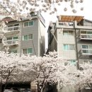 행신근린3호공원 네이버블로그