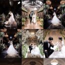 네스트웨딩홀 | [ 라나 일상 ] 오라일리 본식스냅 예약후기(충주 네스트 웨딩홀 - 시에나홀) 짝궁할인 (페이백+혜택)💫
